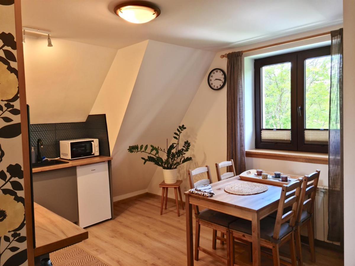 Apartamenty Skalna Chata Закопане Экстерьер фото